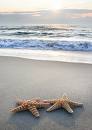 webassets/beach.jpg